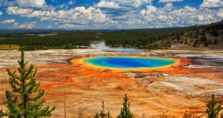 5 Reasons to Visit Yellowstone This Spring