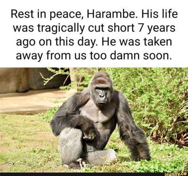 A Life Cut Tragically Short