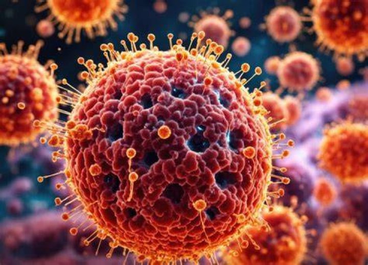 &Aacute;ntrax un virus mortal.