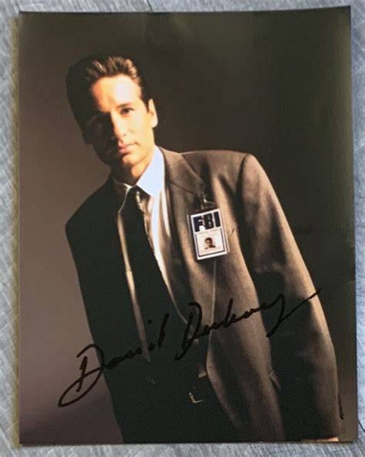 Actor David Duchovny Uses Alma Mater Princeton University As Stepping