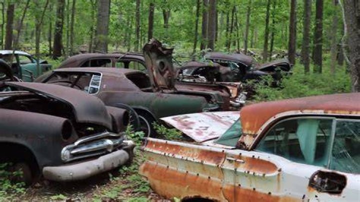 Amazing Deals At Steve's Junkyard: Find Hidden Treasures Today!