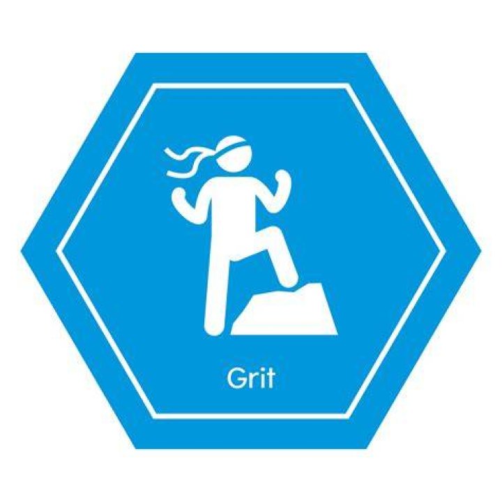 An Icon Of Grit And Grace, Pam Grier Is Finally Getting Her Due The