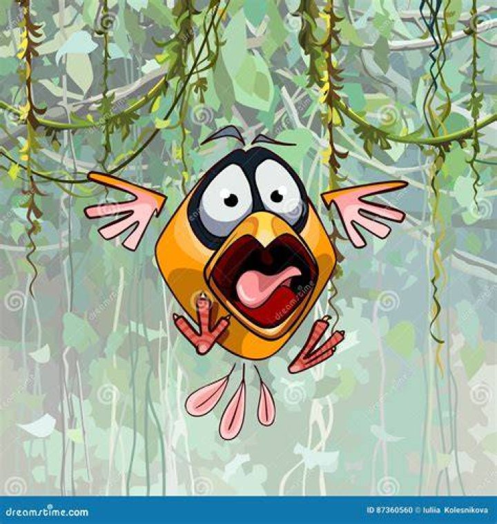 Animal Abuse! Funny Birds Scared By Cruel Moron YouTube