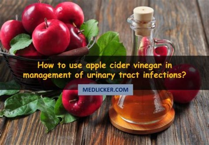 Apple Cider Vinegar for UTI Does It Help and How to Use It (2022)