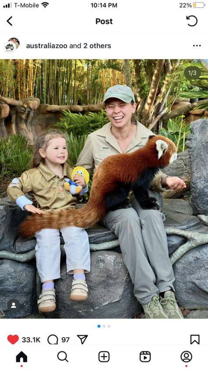 Australian zoo sets up 24/7 Capybara cam amid coronavirus pandemic