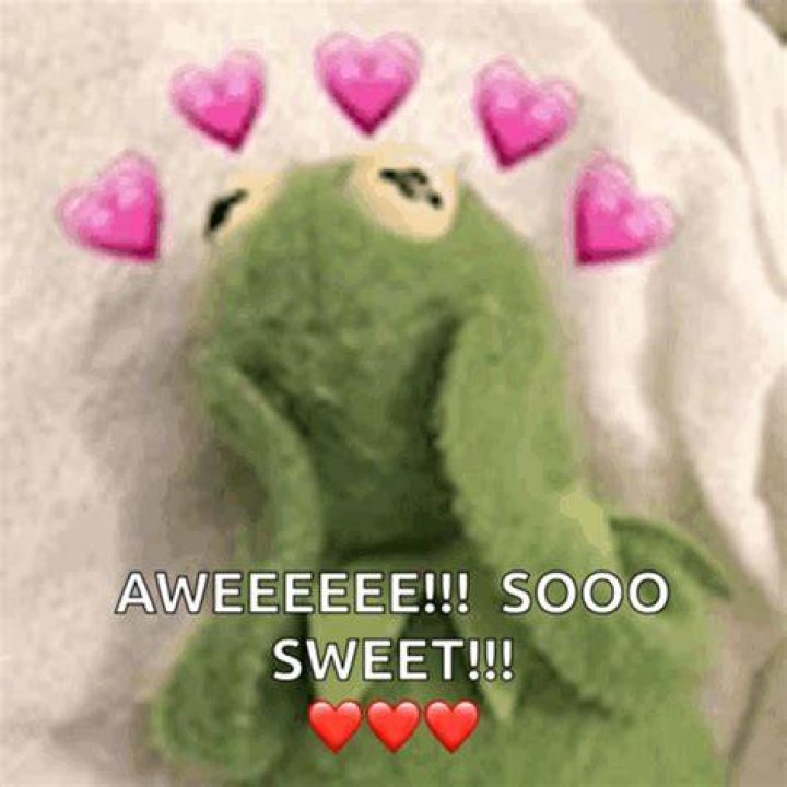 Aww I love seeing this side of Roman Wwe superstar roman reigns