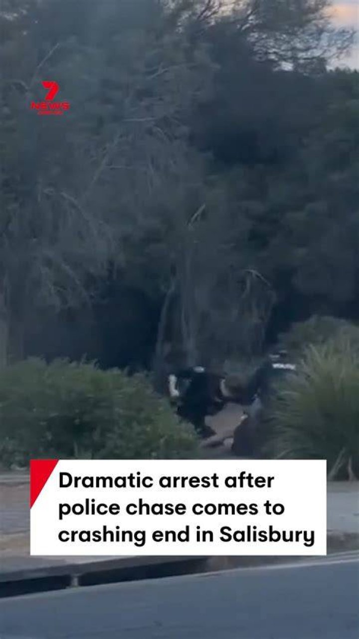 Behind the dramatic arrest of 16 Marines "It's a shock to the system