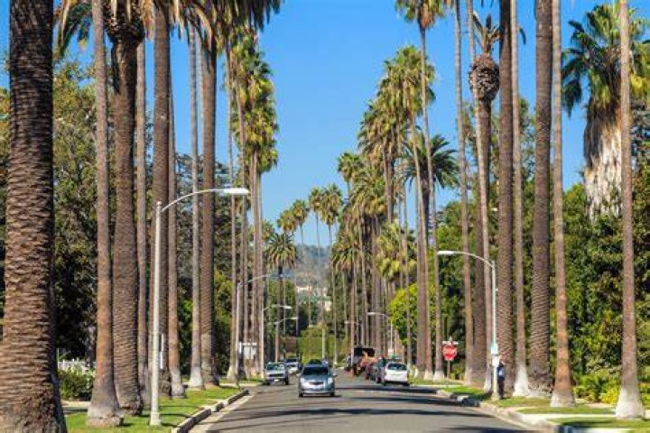 BEVERLY HILLS, LOS ANGELES, CALIFORNIA, USA DECEMBER 16 Canadian