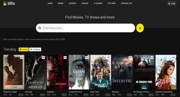 BFlix Alternatives 30 Sites To Watch Online Movies For Free ForTech
