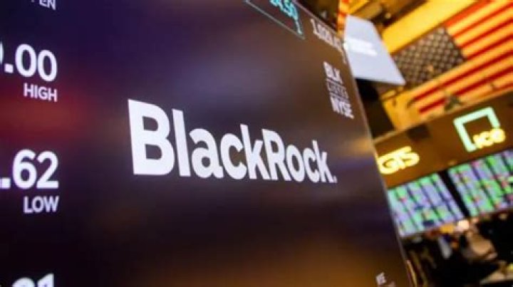 BlackRock Los inversores espa&ntilde;oles son los que m&aacute;s ahorran e invierten