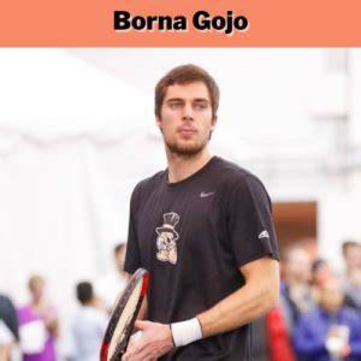 Borna Gojo Men's Tennis Wake Forest University Athletics