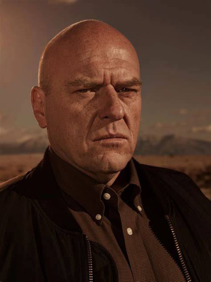Breaking Bad Hank Schrader AMC