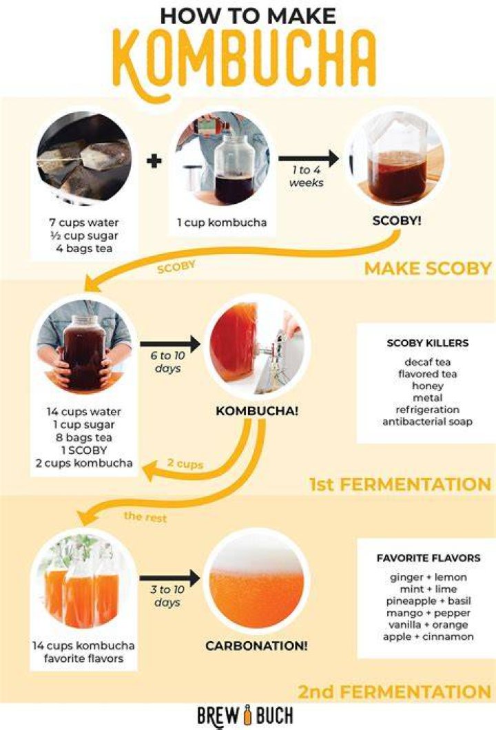 Brewing your own kombucha is easier&mdash;and cheaper&mdash;than you may think