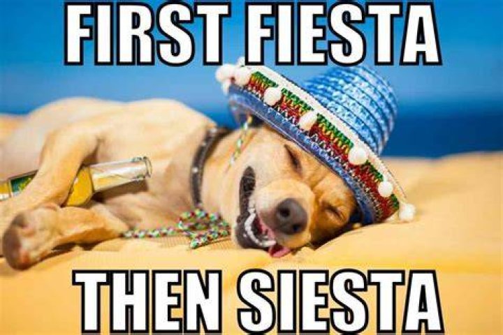 Celebrate Cinco De Mayo With A Laugh: Hilarious Funny Memes