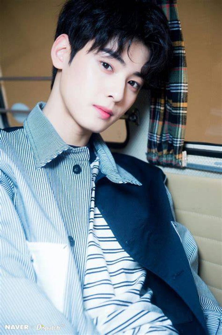 Cha Eun Woo Ideal Girl Asian Celebrity Profile