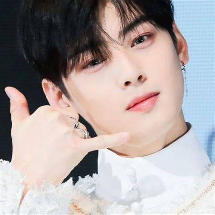 Cha Eunwoo Wiki, Bio, Net Worth, Height, Weight, Girlfriend, Dating