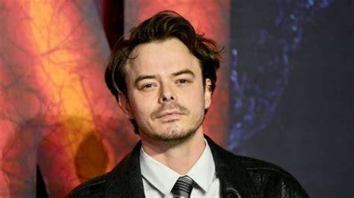 Charlie Heaton: Unraveling The Truth About Fatherhood