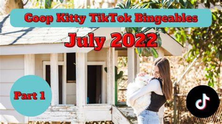 Coop Kitty TikTok Bingeable July 2022 Part 1 YouTube