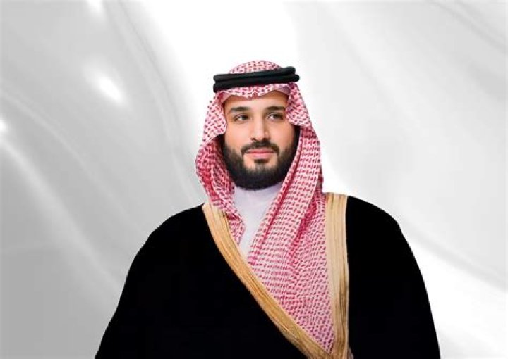Crown Prince Mohammed bin Salman meets with Prince Alwaleed, discuss