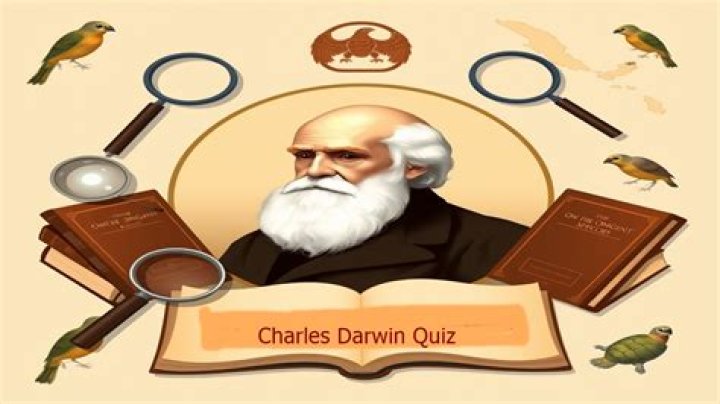 Darwin N&uacute;&ntilde;ez Children Does Darwin N&uacute;&ntilde;ez Have Kids? ABTC