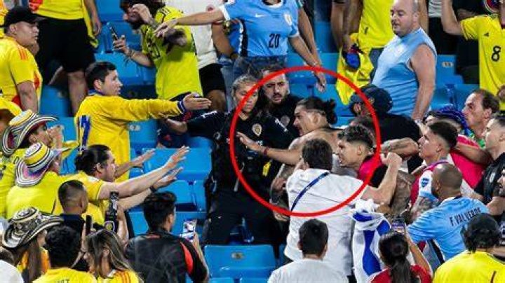 Darwin Nunez brawls with fans to protect his family after loss to