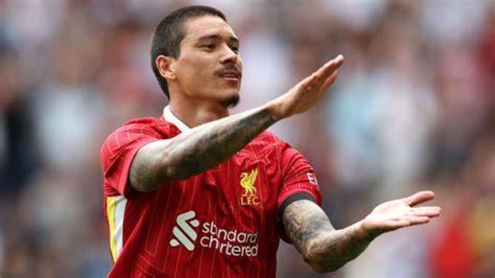 Darwin Nunez Liverpool Star Breaks Silence After Copa America Brawl
