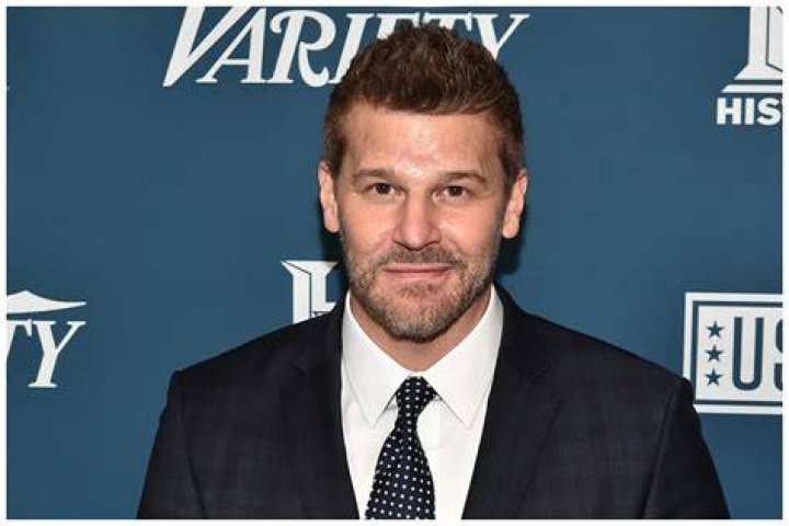 David Boreanaz's Instagram, Twitter & Facebook on IDCrawl