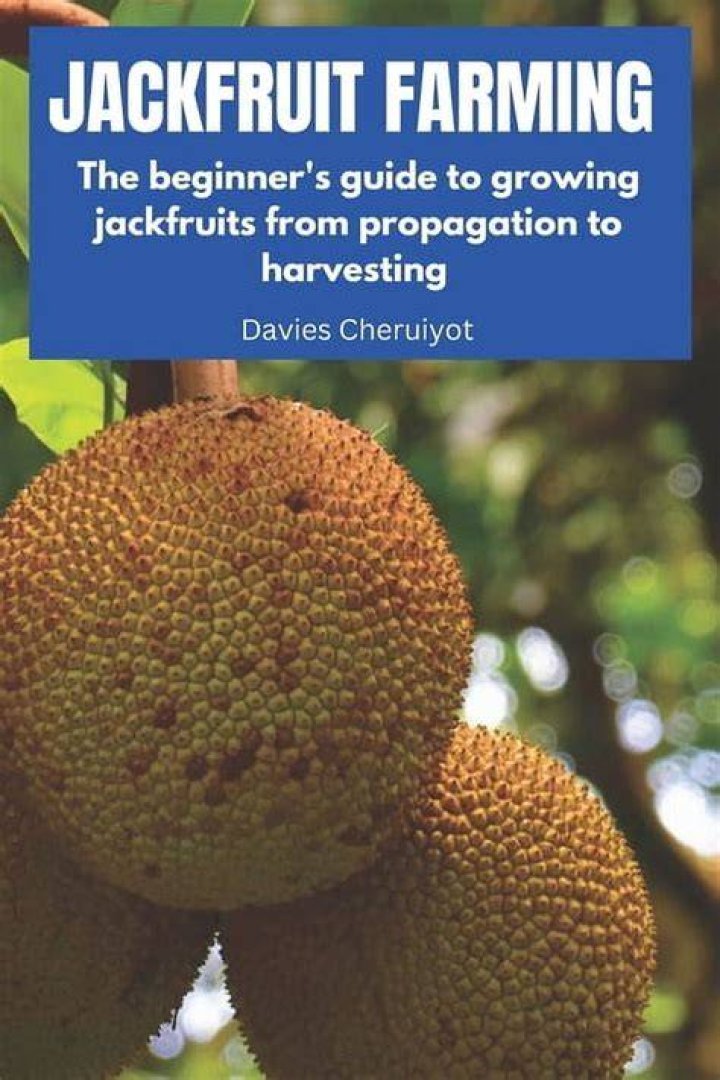 David Nguyen's Guide To Jackfruits: Everything You Need To Know