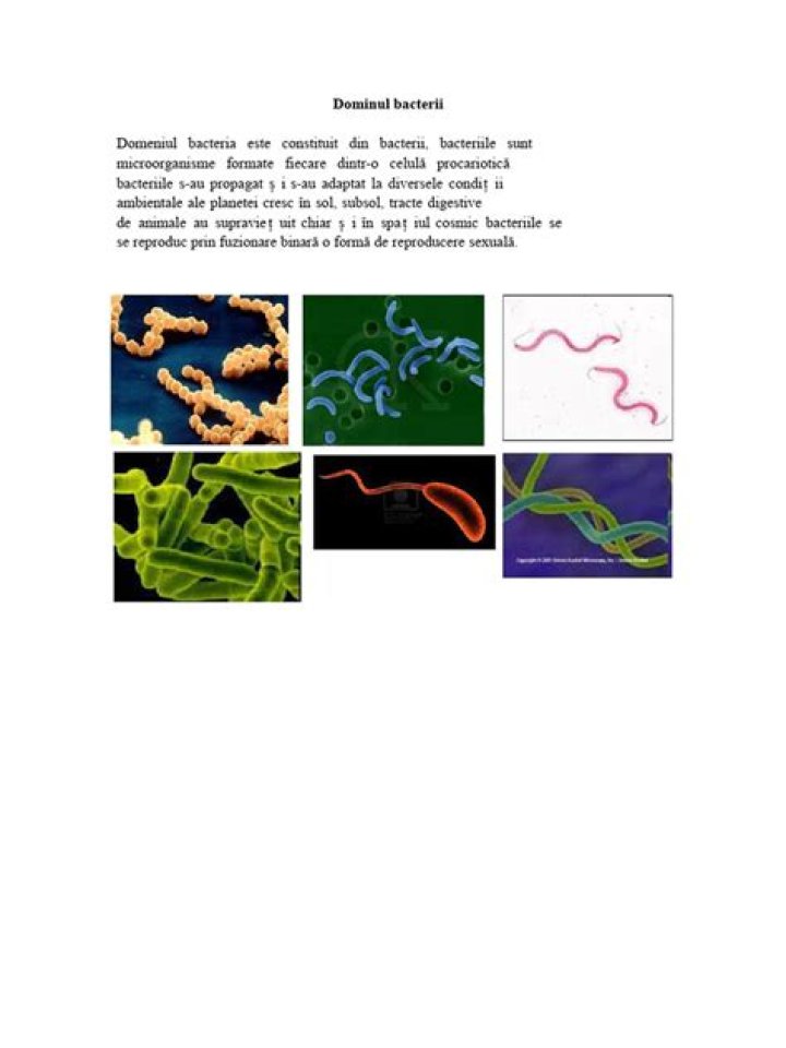dezvălui Scoalăte Bacterii would gps wourk on mar Reper buruiană brusc