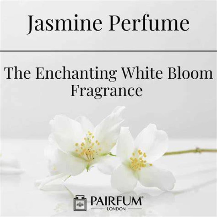 Discover The Enchanting Jasmine Flowers: A Guide To Fragrance And Beauty