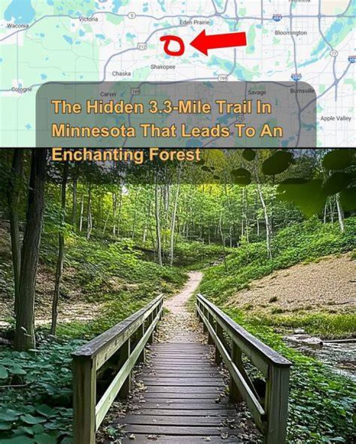 Discover The Enchanting Newmans Preservatory Trail