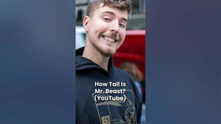 Discover The Remarkable Height Of Jimmy "MrBeast" Donaldson