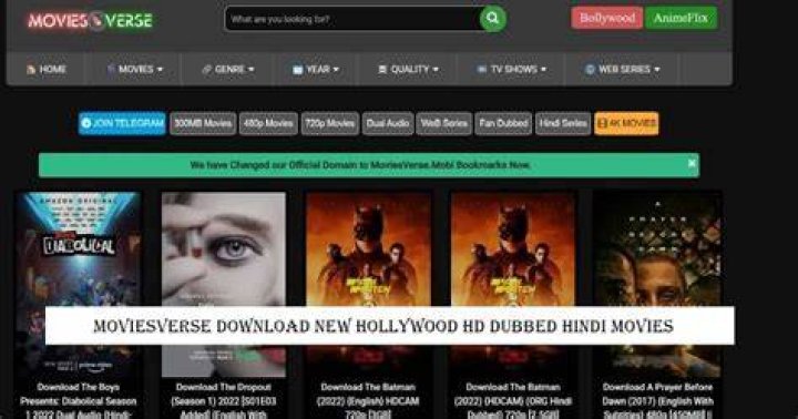 Download Moviesverse Bollywood And Hollywood