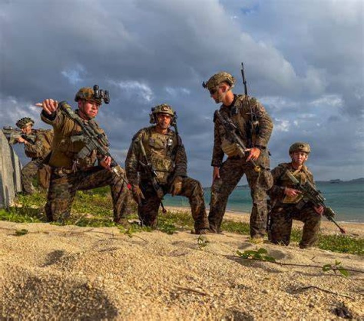 DVIDS Images 31st OG conducts joint Operation Porcupine Exercise