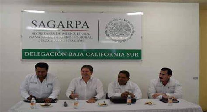 Edgardo And Hugo Baja California Shootout Suspects Arrested