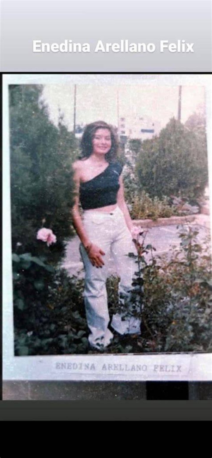 Enedina Arellano Felix Historica Wiki Fandom