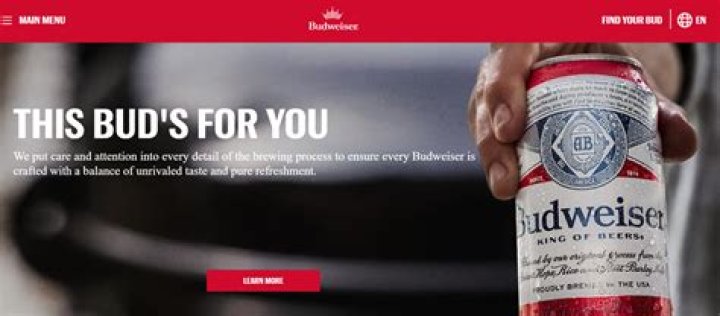 [Expired] Budweiser Rebate 80 Of Budweiser For 20 Doctor Of Credit