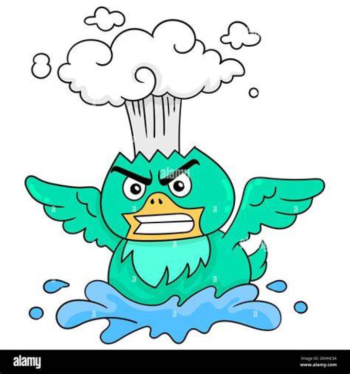 Exploded Bird by luigigirl17 on DeviantArt
