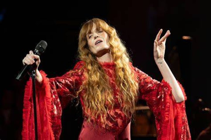 Florence Welch celebrity &uacute;čes HappyHair
