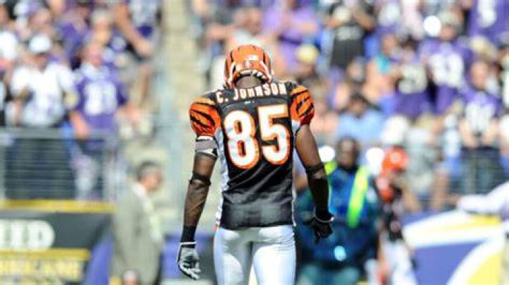 Former NFL Probowler Chad Johnson switches American football for