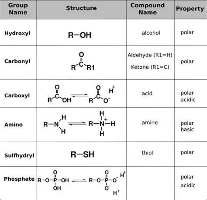 Functional groups Biology 1101 Course Hub