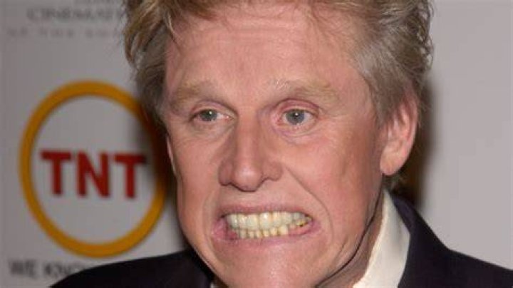 Gary Busey's Mind: Quirks, Controversies, And Eccentricities