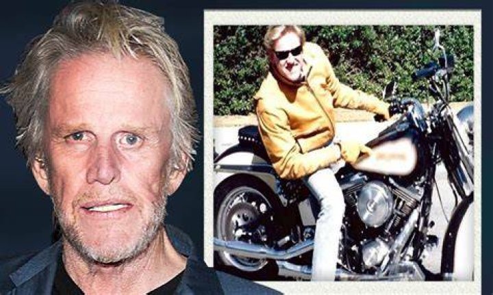 Gary Busey's Shocking Recovery: Aftermath Of Tragic Accident