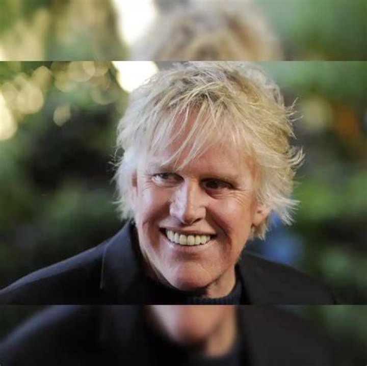 Gary Busey Allegedly Involved in California HitandRun Accident