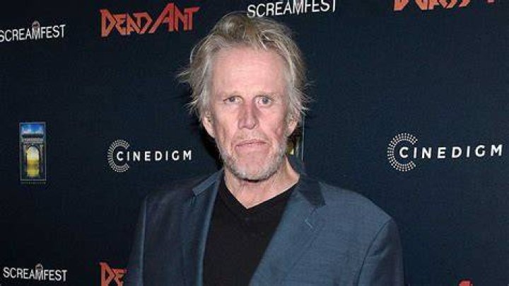 Gary Busey Illness, Brain Damage Condition , Health Update