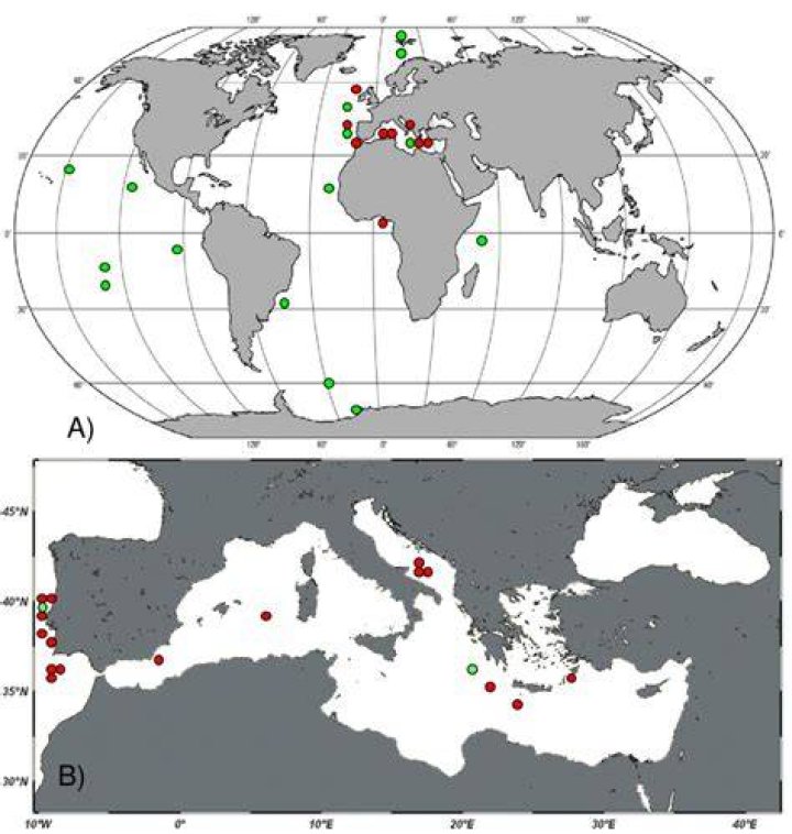 Geographic distribution of the genus Diaphanosoma s.s. (heptagroup