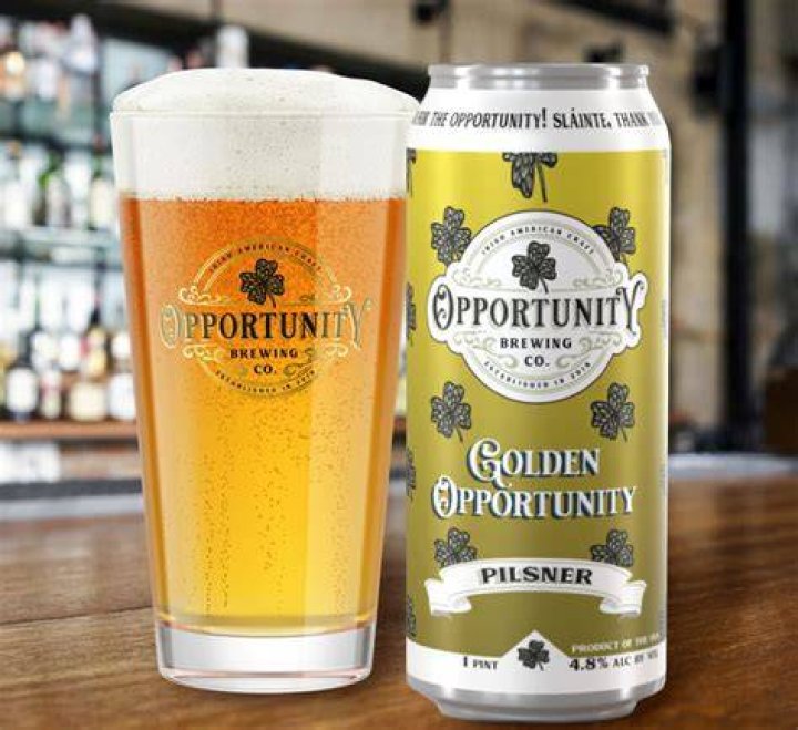 Golden Opportunity Chapter 1 MangaRyu