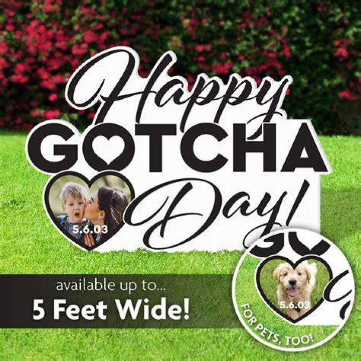 Happy 2 Year Gotcha Day, Tony The Asher House YouTube