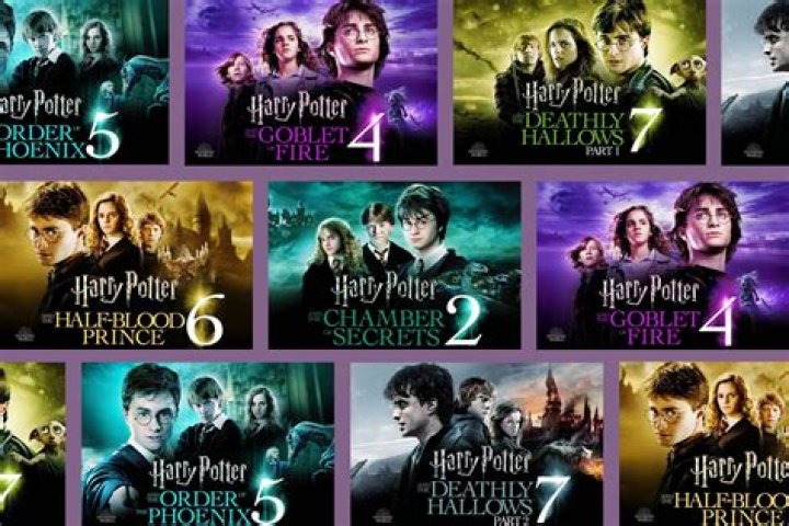 Harry Potter and the Order of the Phoenix (2007)