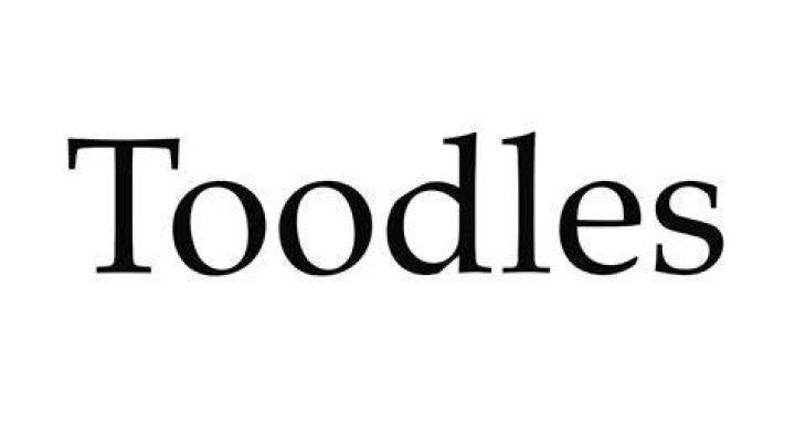 How do you pronounce Toodles?